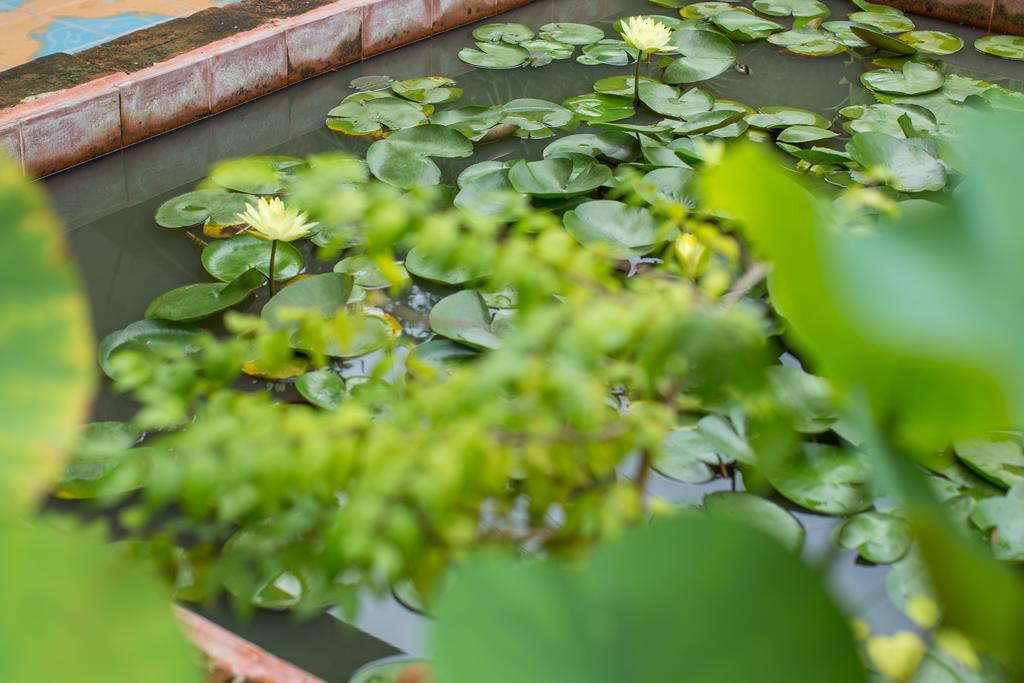Baan Are Gong Riverside Homestay Аюттхая Екстер'єр фото
